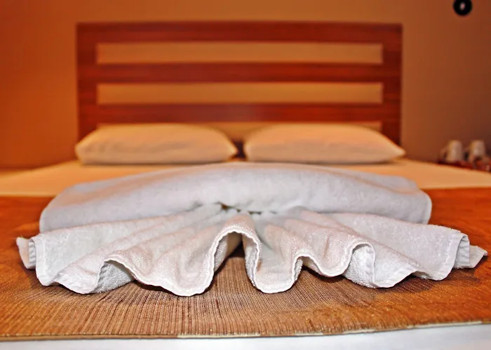 Feza 3* 特拉布宗